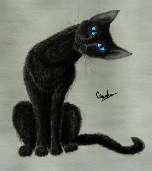 Черный Кот