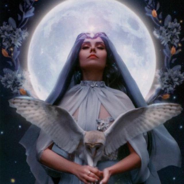 Viva Tarot